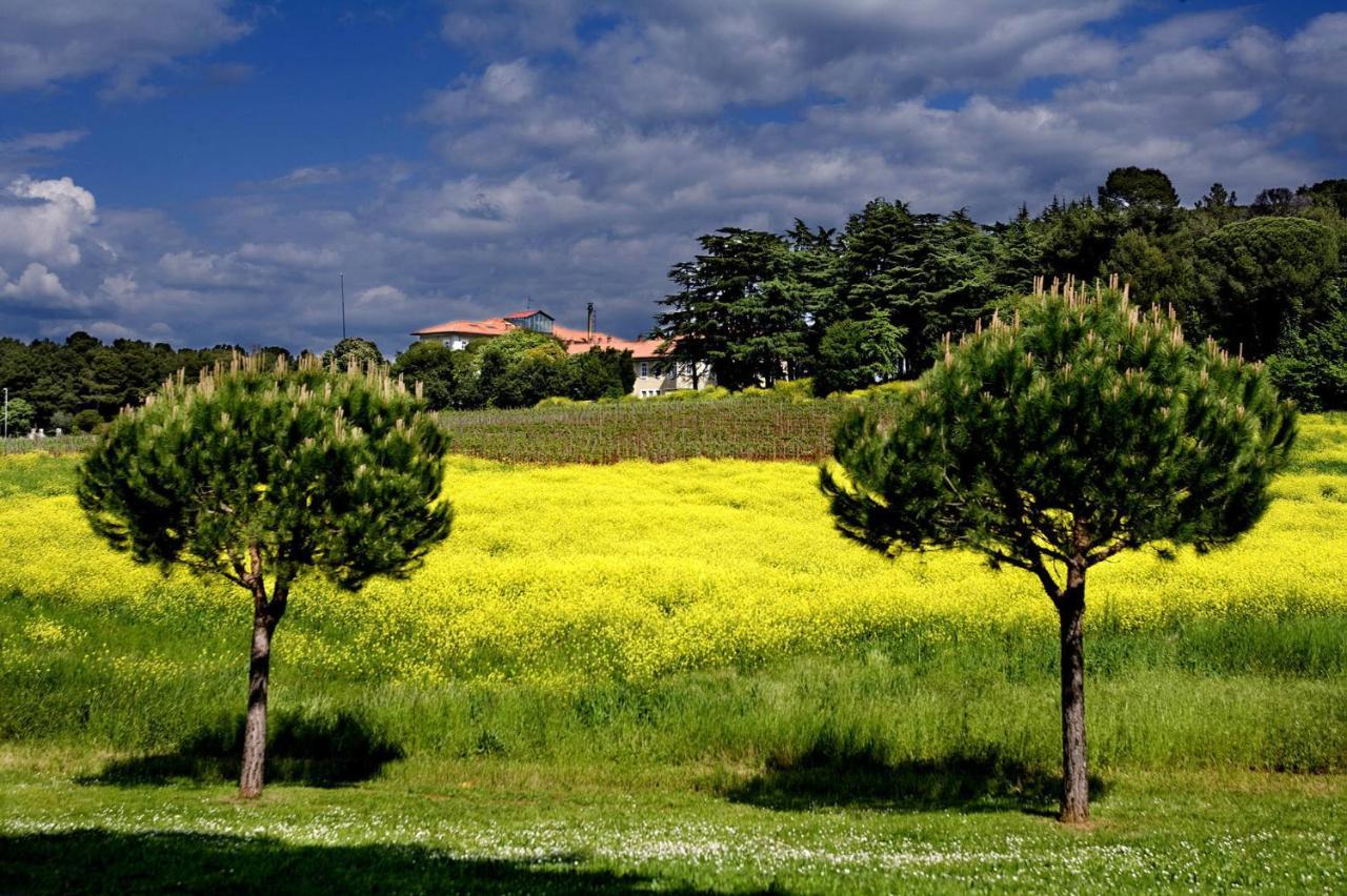 Residence Agata Nova Vas (Porec) Zewnętrze zdjęcie